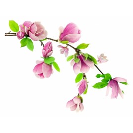 Naklejka samoprzylepna...