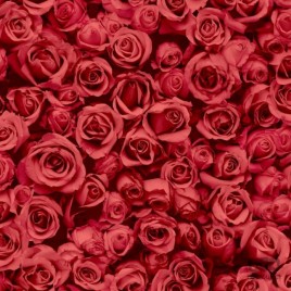 TAPETA KLASYCZNE CZERWONE...