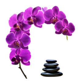 Naklejka samoprzylepna...