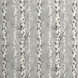 TAPETA BRZÓZKI 183601