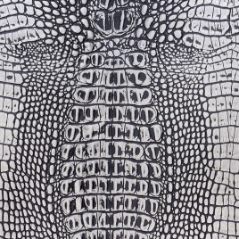 TAPETA HECTOR W34-054 Vinylpex