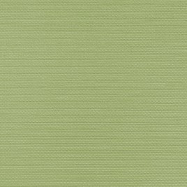 TAPETA RALPH W47-172 Vinylpex