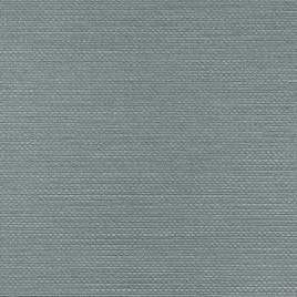 TAPETA RALPH W47-2226 Vinylpex